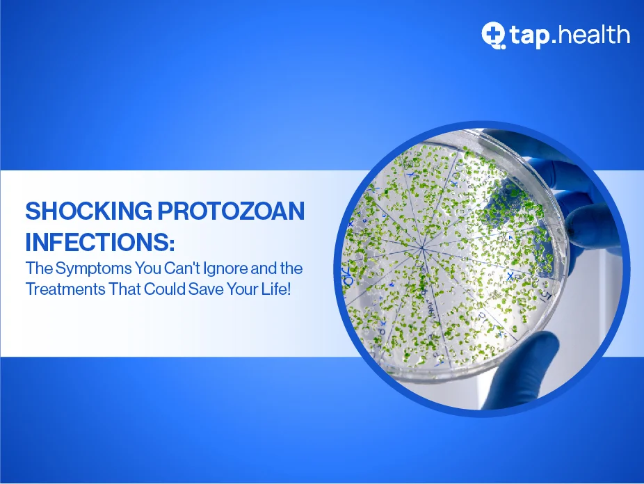 how-to-recognize-and-treat-protozoan-infections