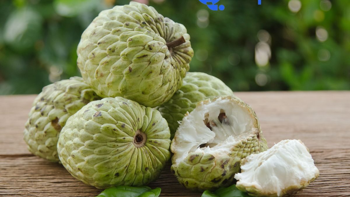 Is Custard Apple Good For Diabetes Let's Find Out   Tap Health