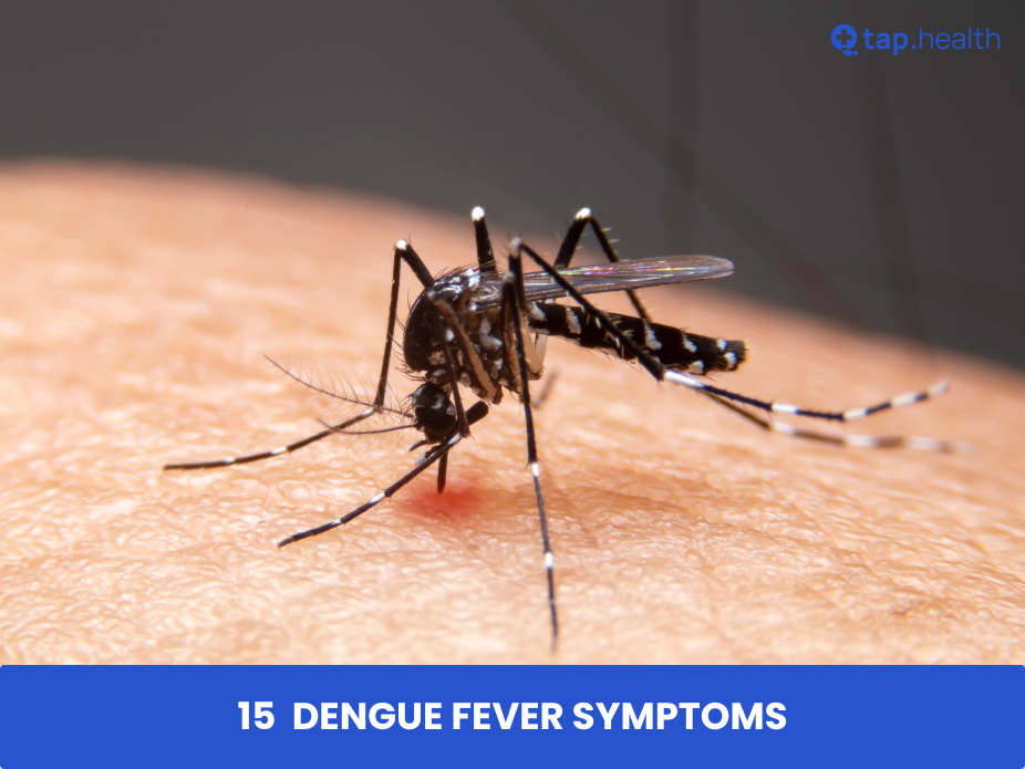 15-Dengue-Fever-Symptoms