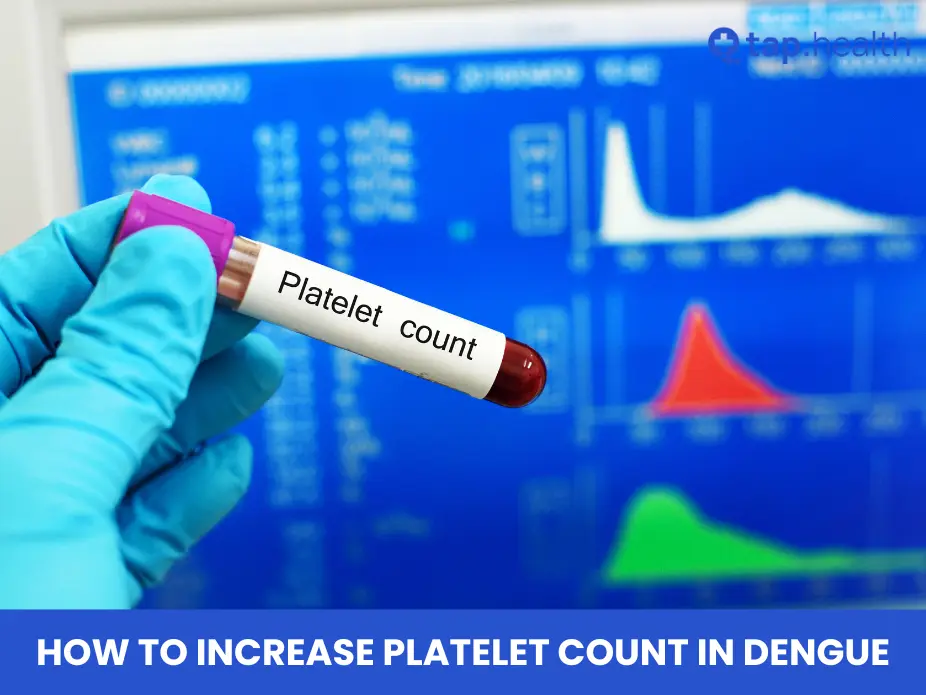 How to Increase Platelet Count in Dengue