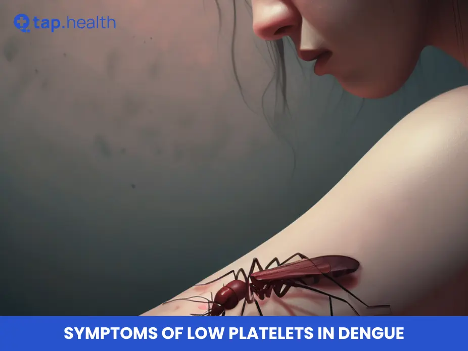 Symptoms of low platelets in dengue