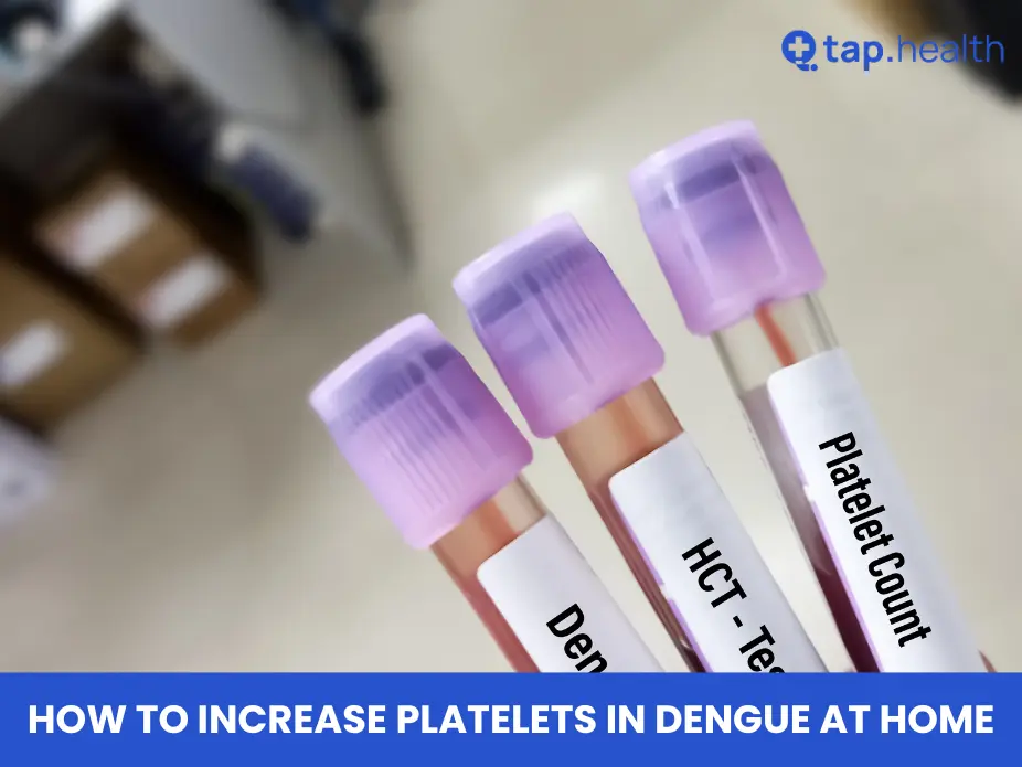 how to increase platelets in dengue at home