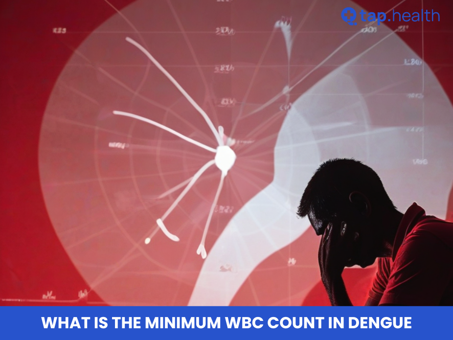 what is the minimum wbc count in dengue