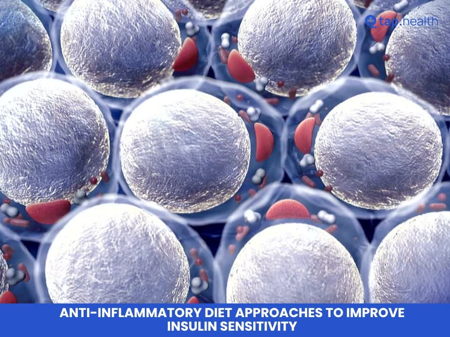 Anti-Inflammatory Diet Approaches to Improve Insulin Sensitivity