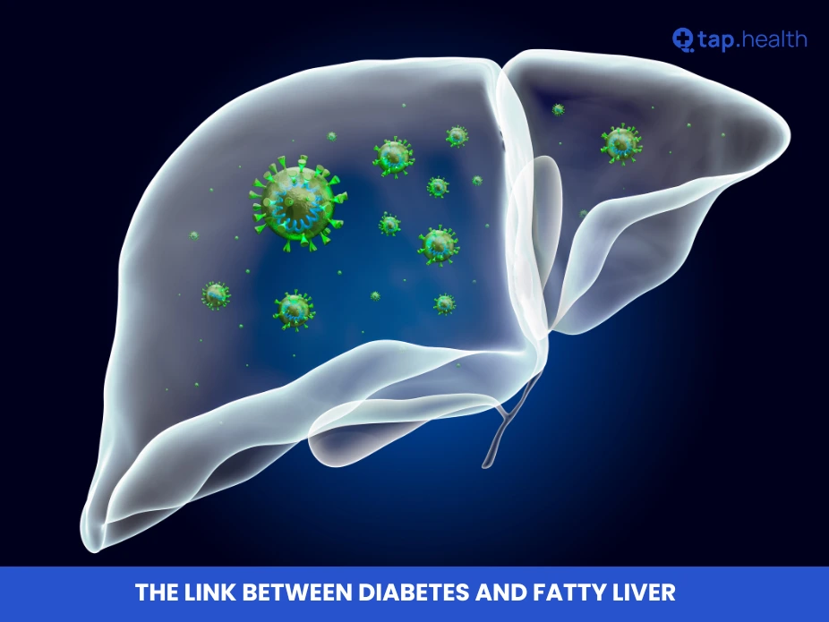 The Link Between Diabetes and Fatty Liver