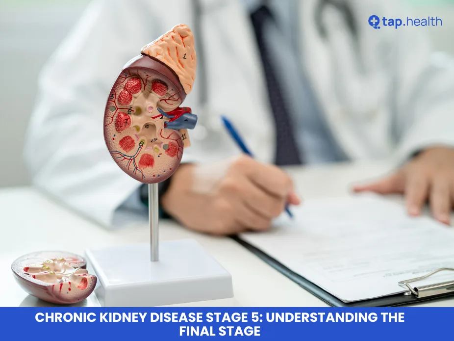 Chronic Kidney Disease Stage 5: Understanding the Final Stage