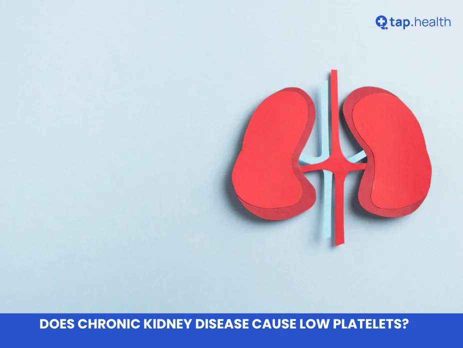 Does Chronic Kidney Disease Cause Low Platelets?