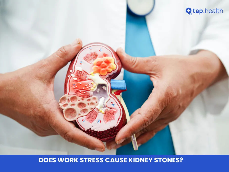 Does Work Stress Cause Kidney Stones?