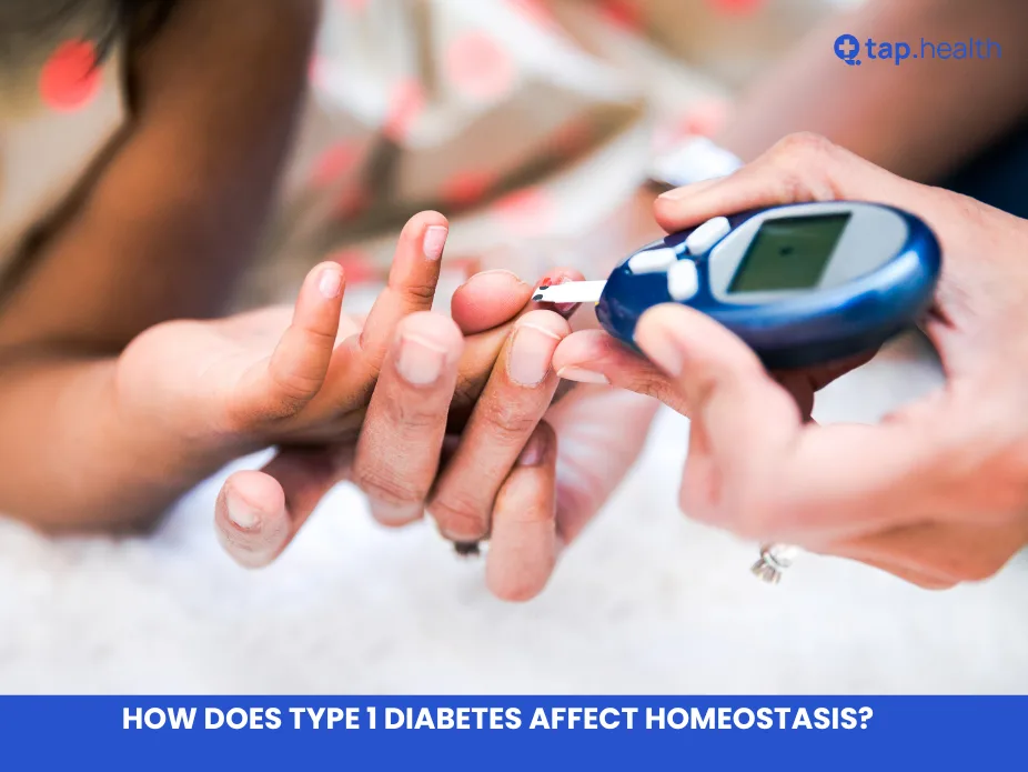 How Does Type 1 Diabetes Affect Homeostasis?