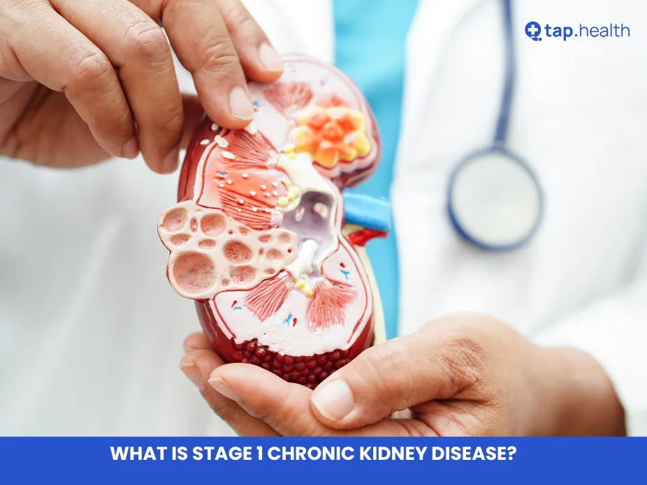 What is Stage 1 Chronic Kidney Disease