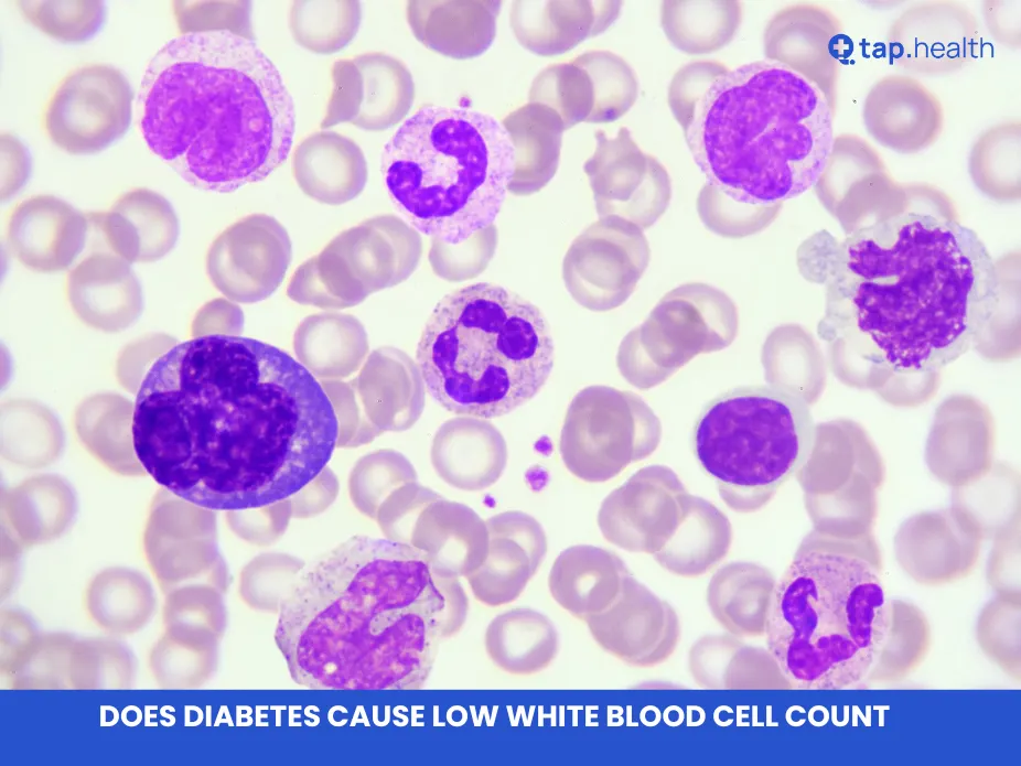 does diabetes cause low white blood cell count