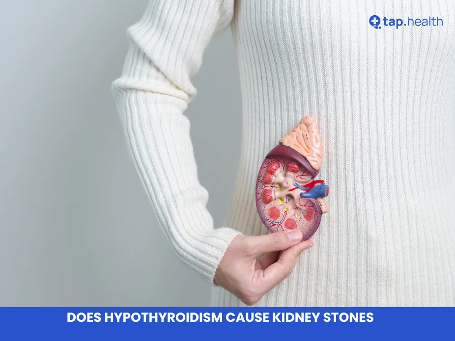 does hypothyroidism cause kidney stones