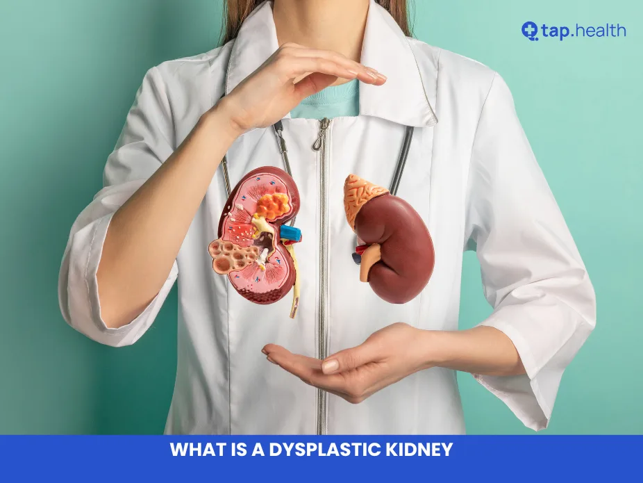 what is a dysplastic kidney