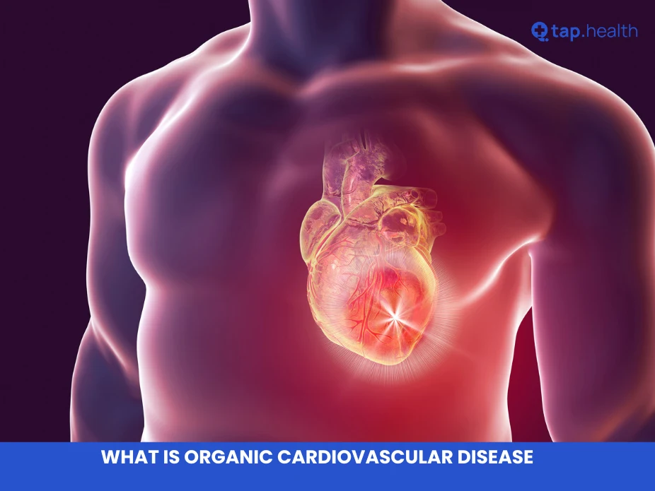 what is organic cardiovascular disease