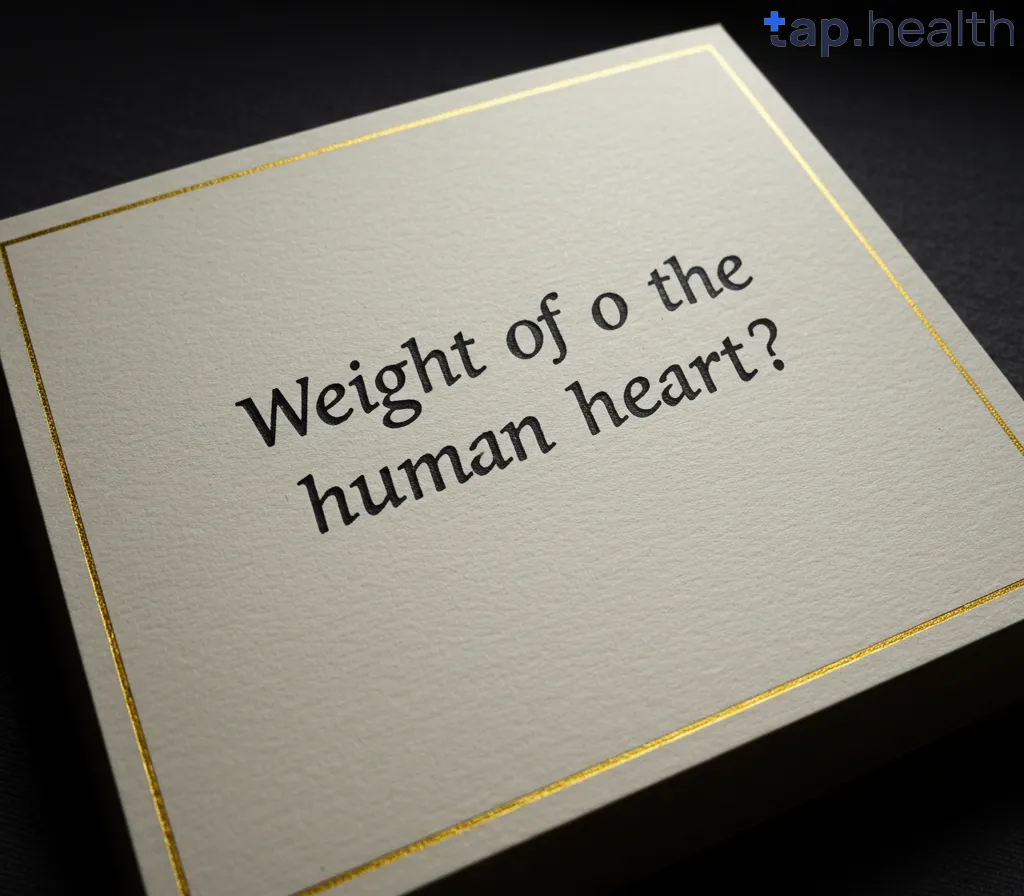 What Is the Weight of the Human Heart?