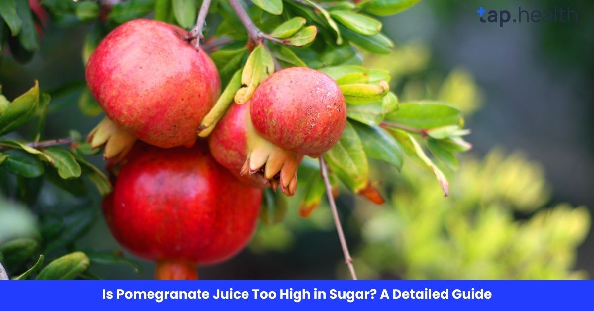 Is Pomegranate Juice Too High in Sugar? A Detailed Guide