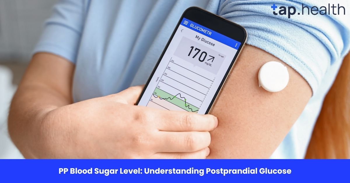 PP Blood Sugar Level: Understanding Postprandial Glucose