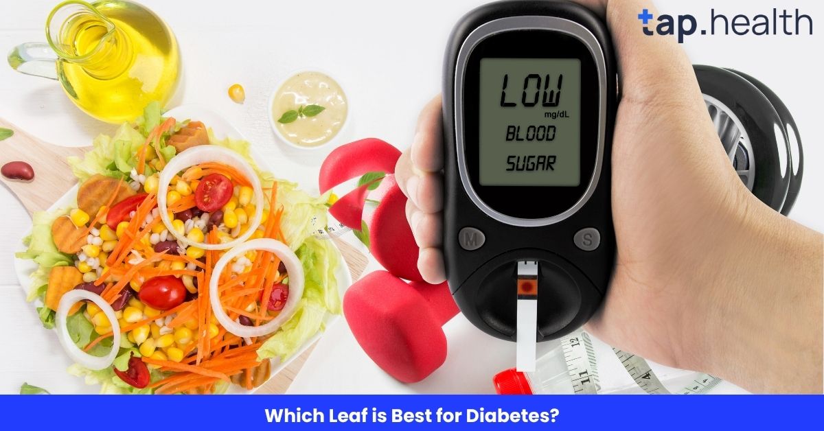 Which Leaf is Best for Diabetes?