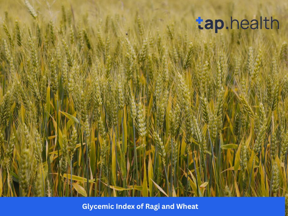 <br />
<b>Warning</b>:  Undefined variable $alt_text in <b>/home1/taphealt/public_html/wp-content/themes/taphealthTwo/author.php</b> on line <b>161</b><br />
