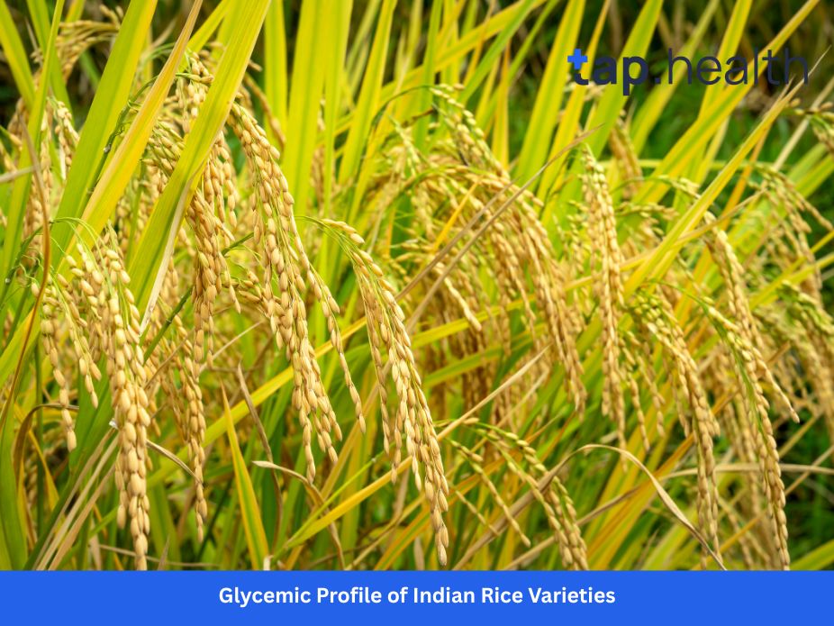 Glycemic Profile of Indian Rice Varieties
