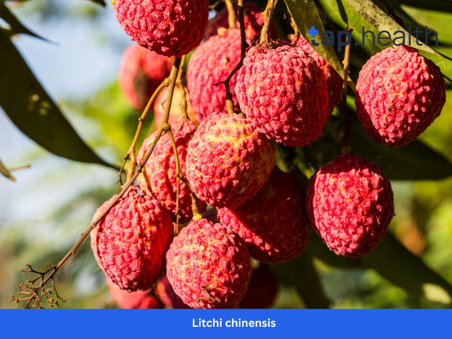 is besan flour good for diabetes