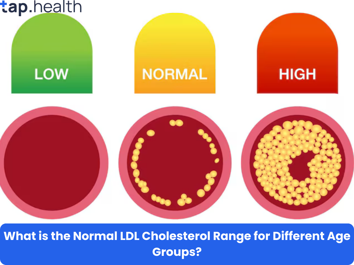 what-is-the-normal-ldl-cholesterol-range-for-different-age-groups