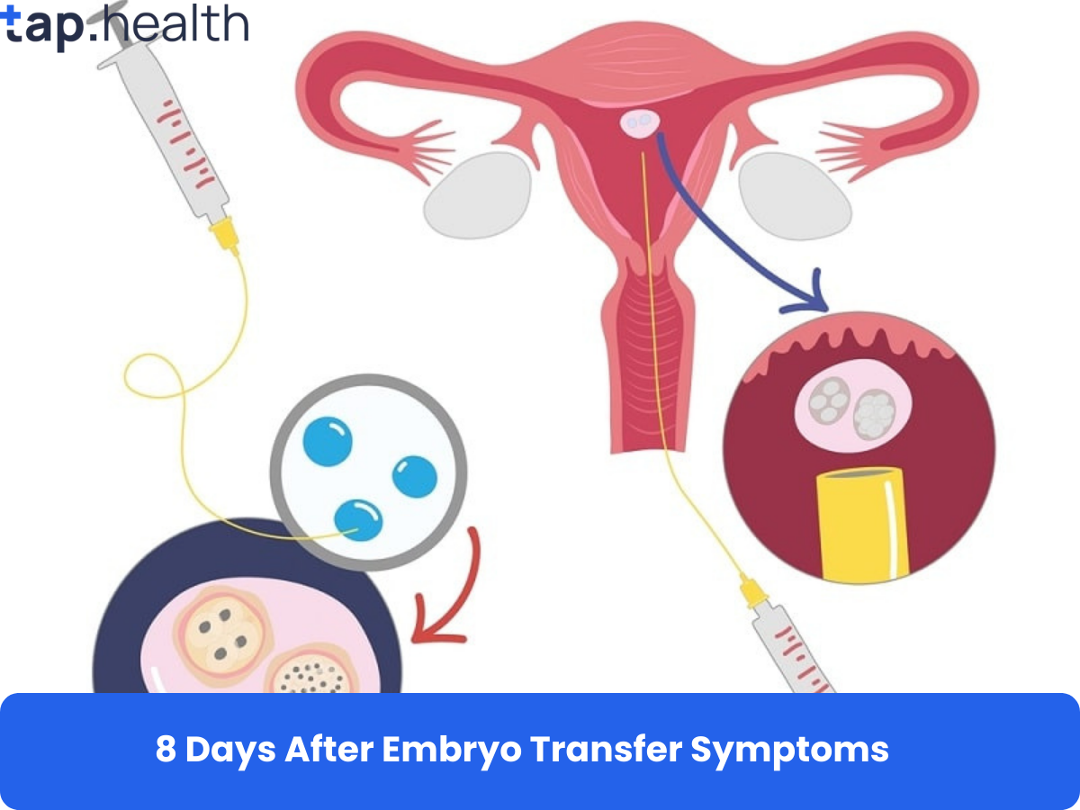 8 Days After Embryo Transfer Symptoms