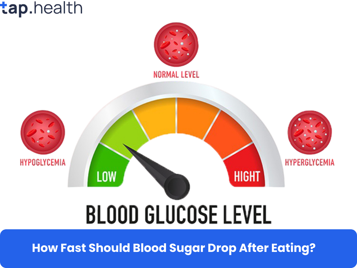 how-fast-should-blood-sugar-drop-after-eating