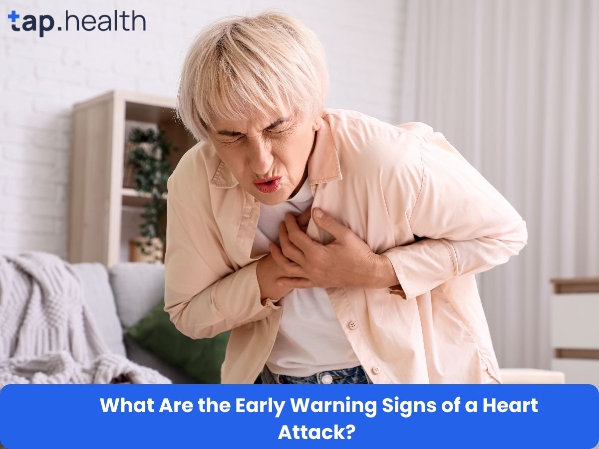 A microscopic view showing the structure of epithelial cells found in urine