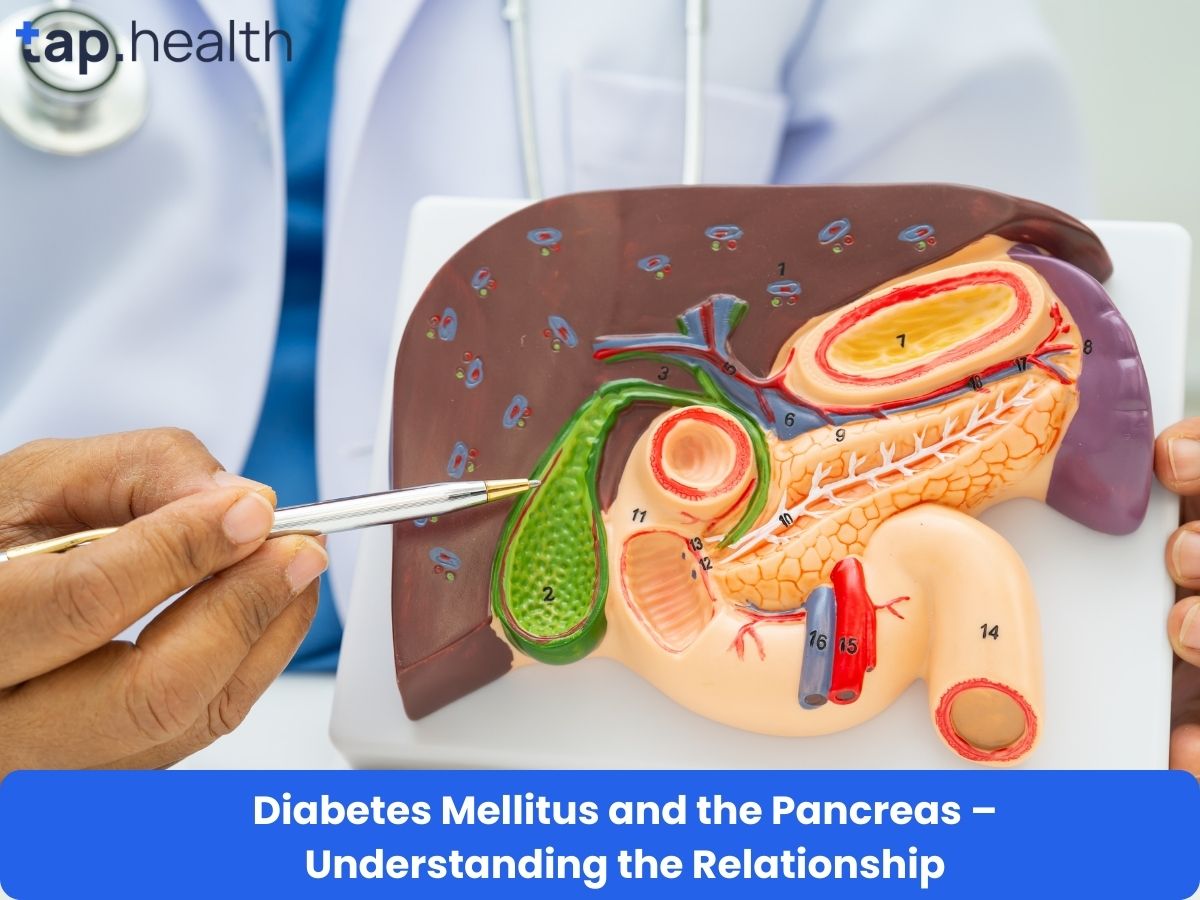 Diabetes Mellitus and the Pancreas – Understanding the Relationship