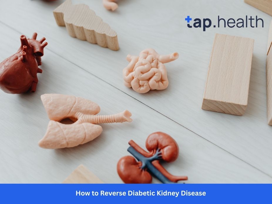 How to Reverse Diabetic Kidney Disease