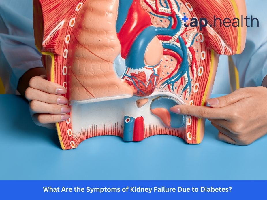 <br />
<b>Warning</b>:  Undefined variable $alt_text in <b>/home1/taphealt/public_html/wp-content/themes/taphealthTwo/author.php</b> on line <b>161</b><br />
