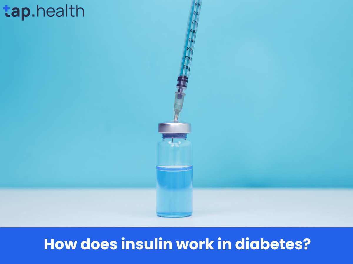 How does insulin work in diabetes