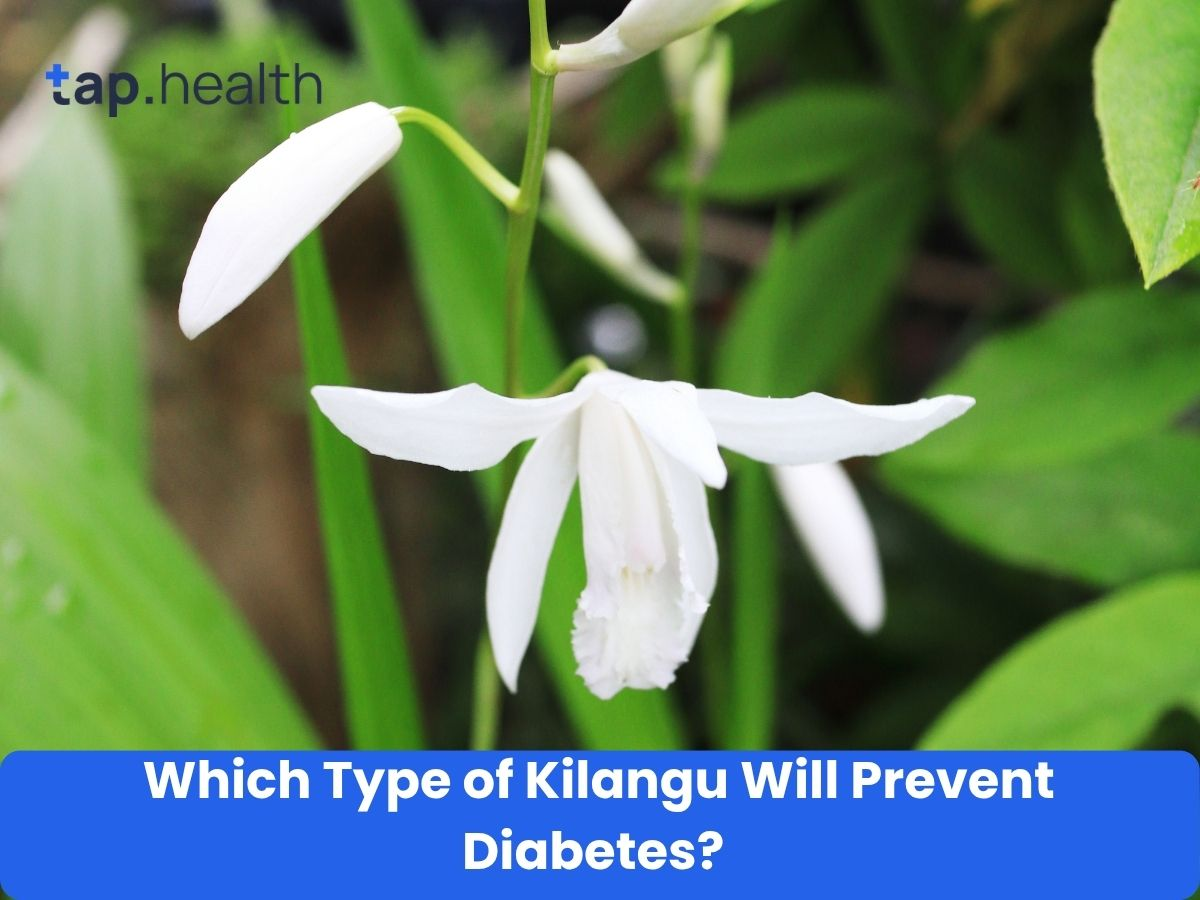 Which Type of Kilangu Will Prevent Diabetes?