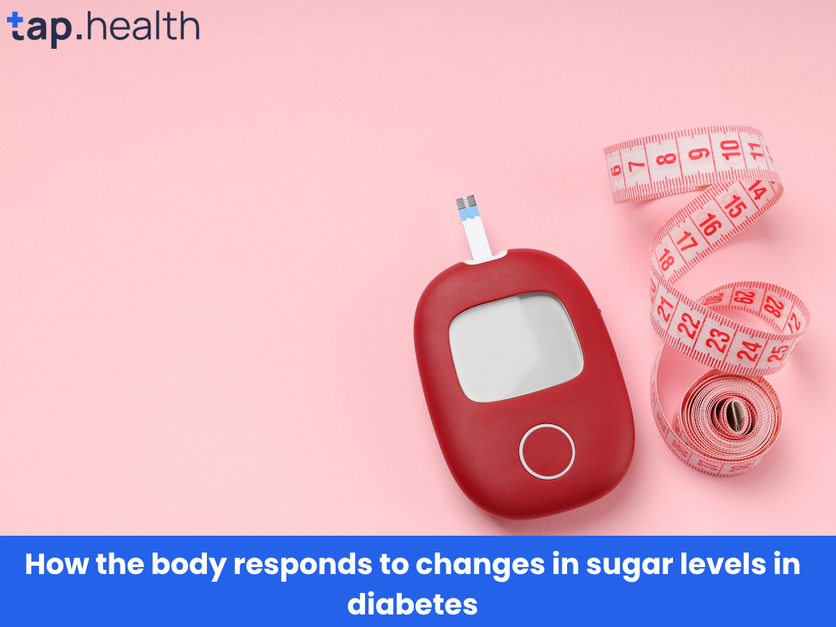 How the body responds to changes in sugar levels in diabetes