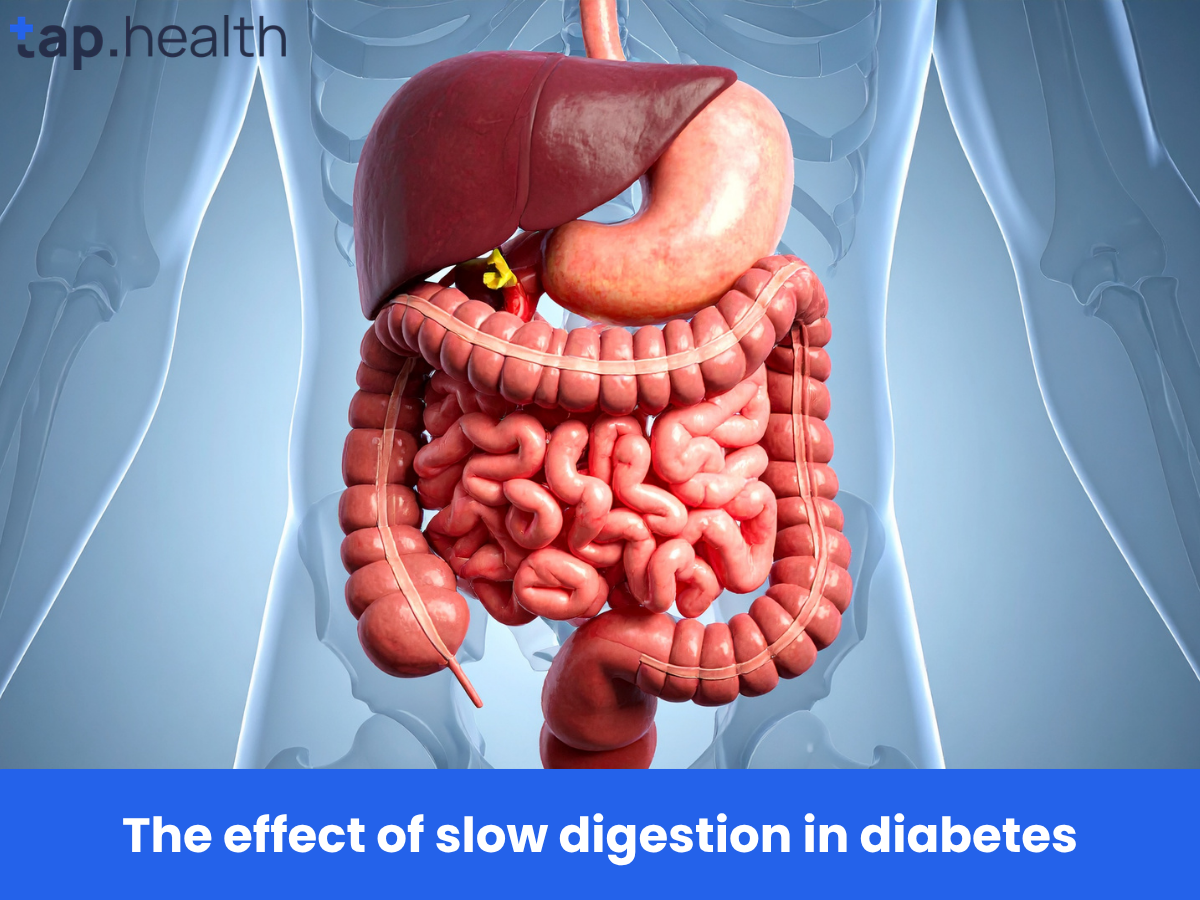 The effect of slow digestion in diabetes