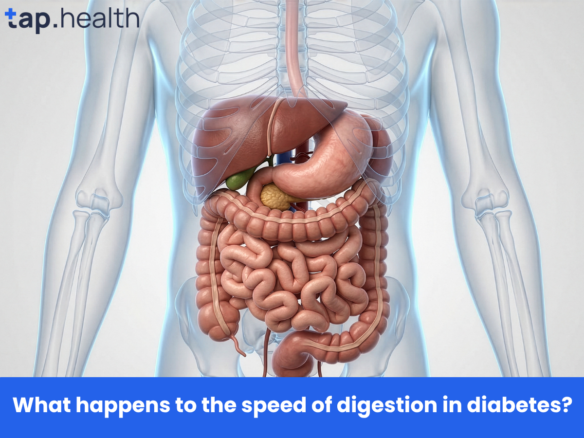 What happens to the speed of digestion in diabetes
