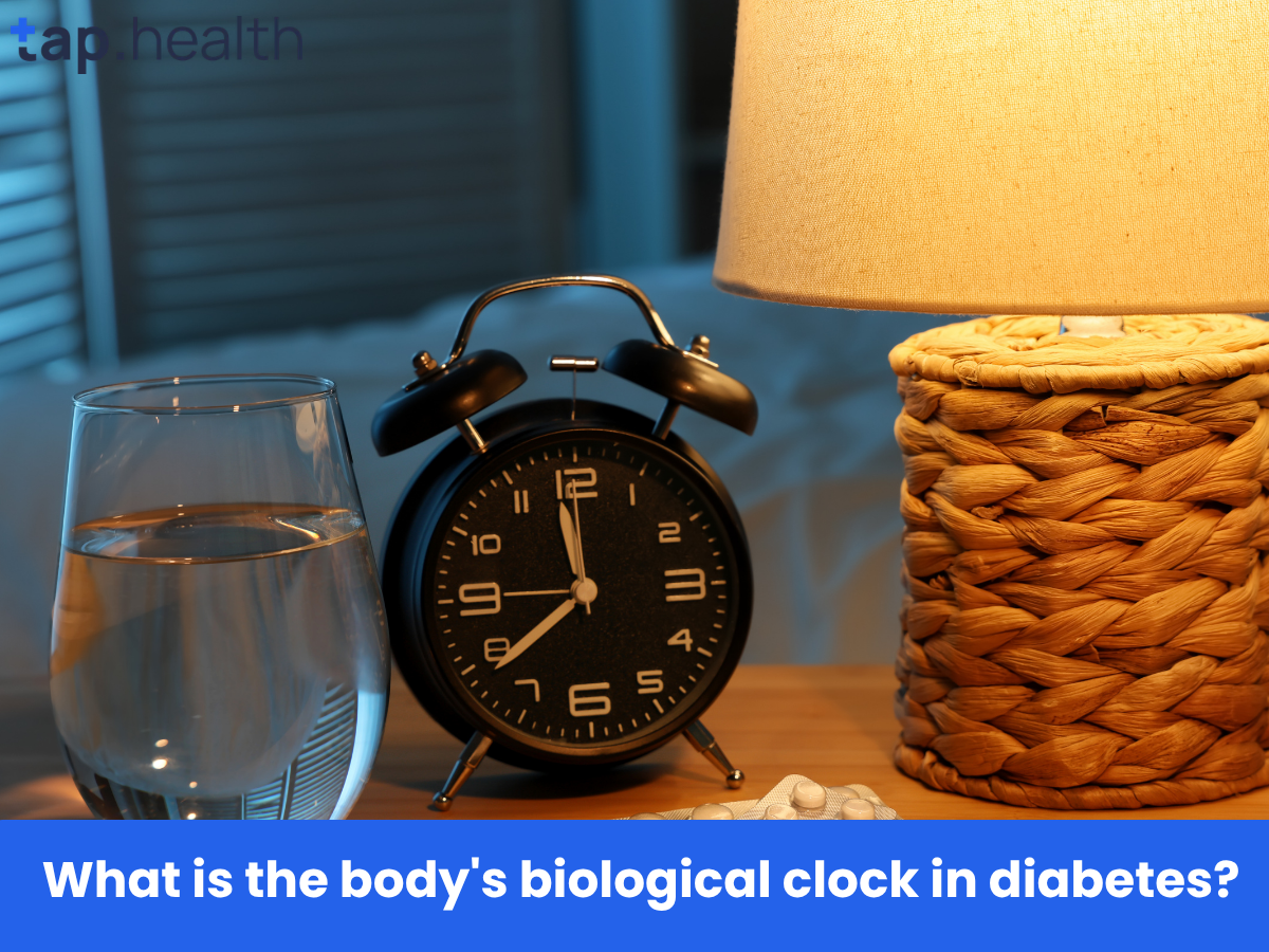 What is the body's biological clock in diabetes