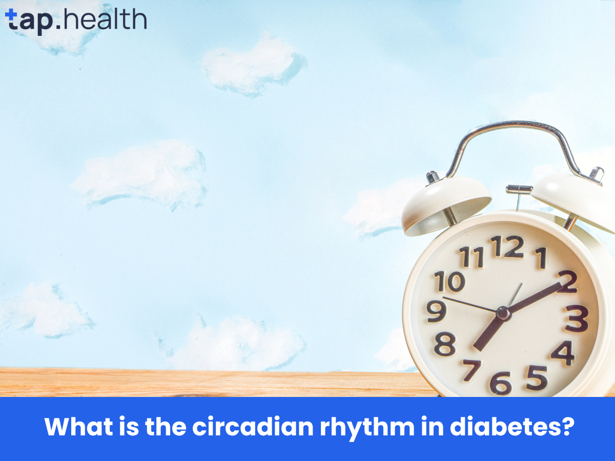 What is the circadian rhythm in diabetes