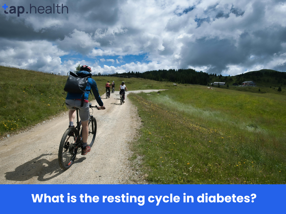 What is the resting cycle in diabetes