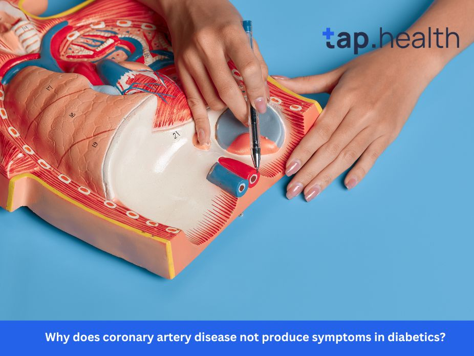 Why does coronary artery disease not produce symptoms in diabetics?