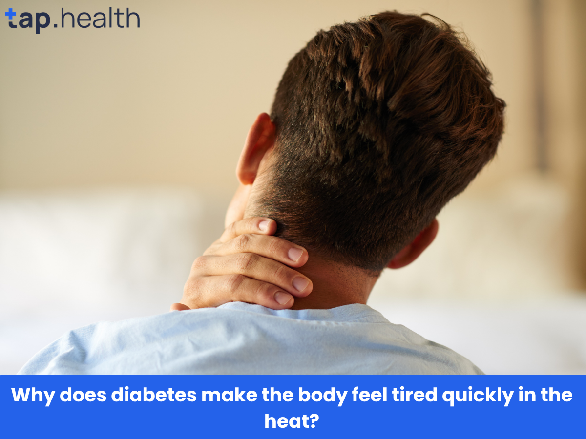 Why does diabetes make the body feel tired quickly in the heat