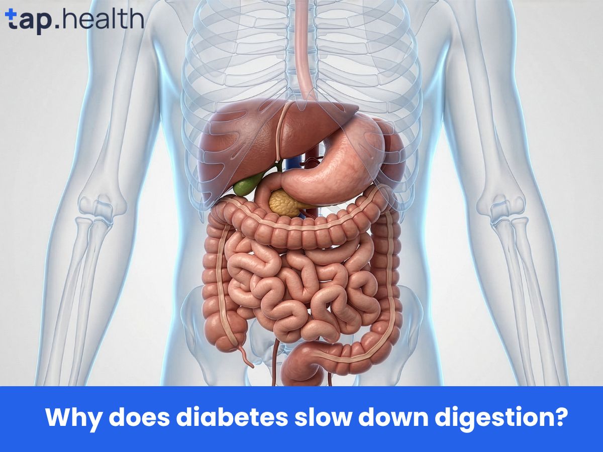 Why does diabetes slow down digestion
