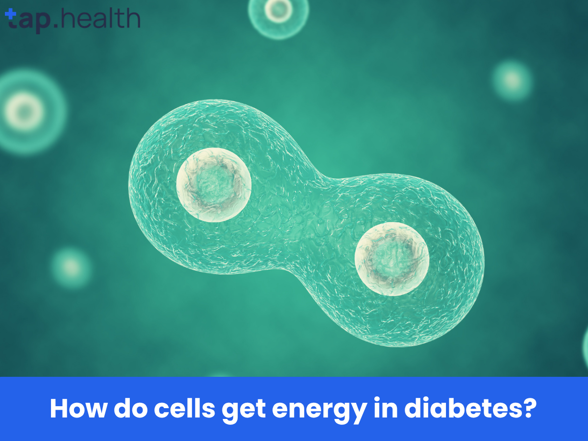 How do cells get energy in diabetes