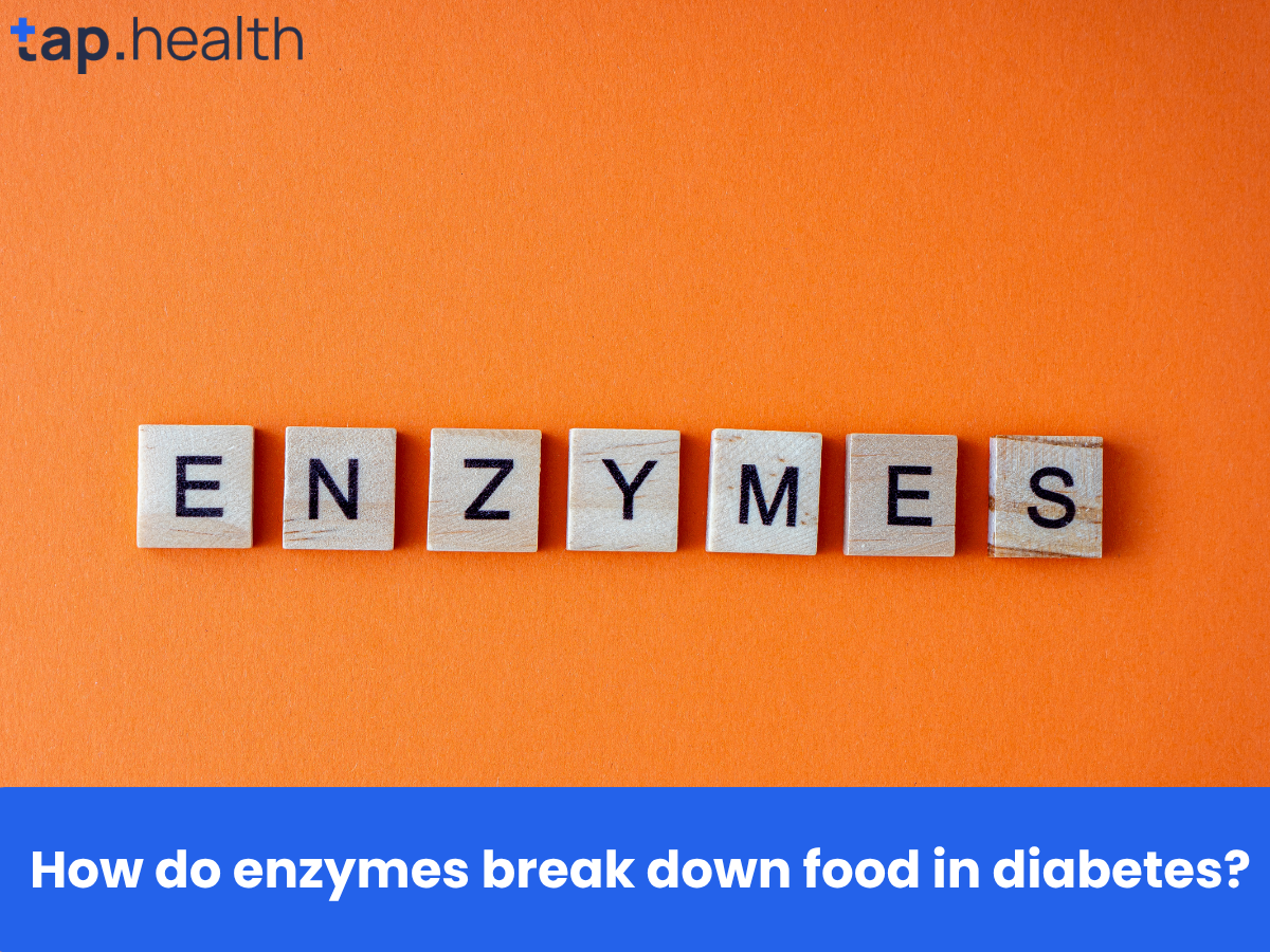 How do enzymes break down food in diabetes