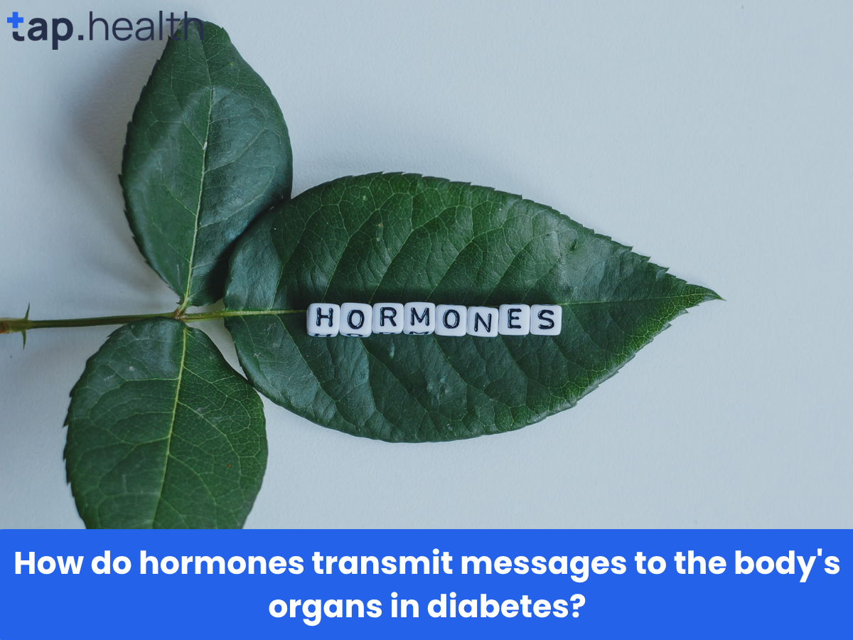 How do hormones transmit messages to the body's organs in diabetes