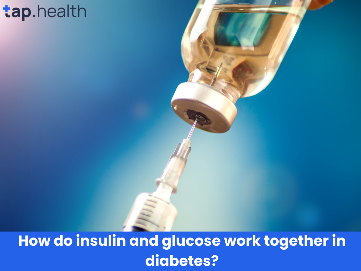 How do insulin and glucose work together in diabetes
