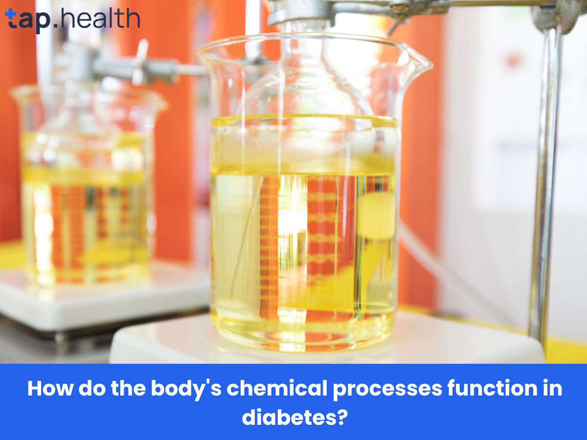 How do the body's chemical processes function in diabetes