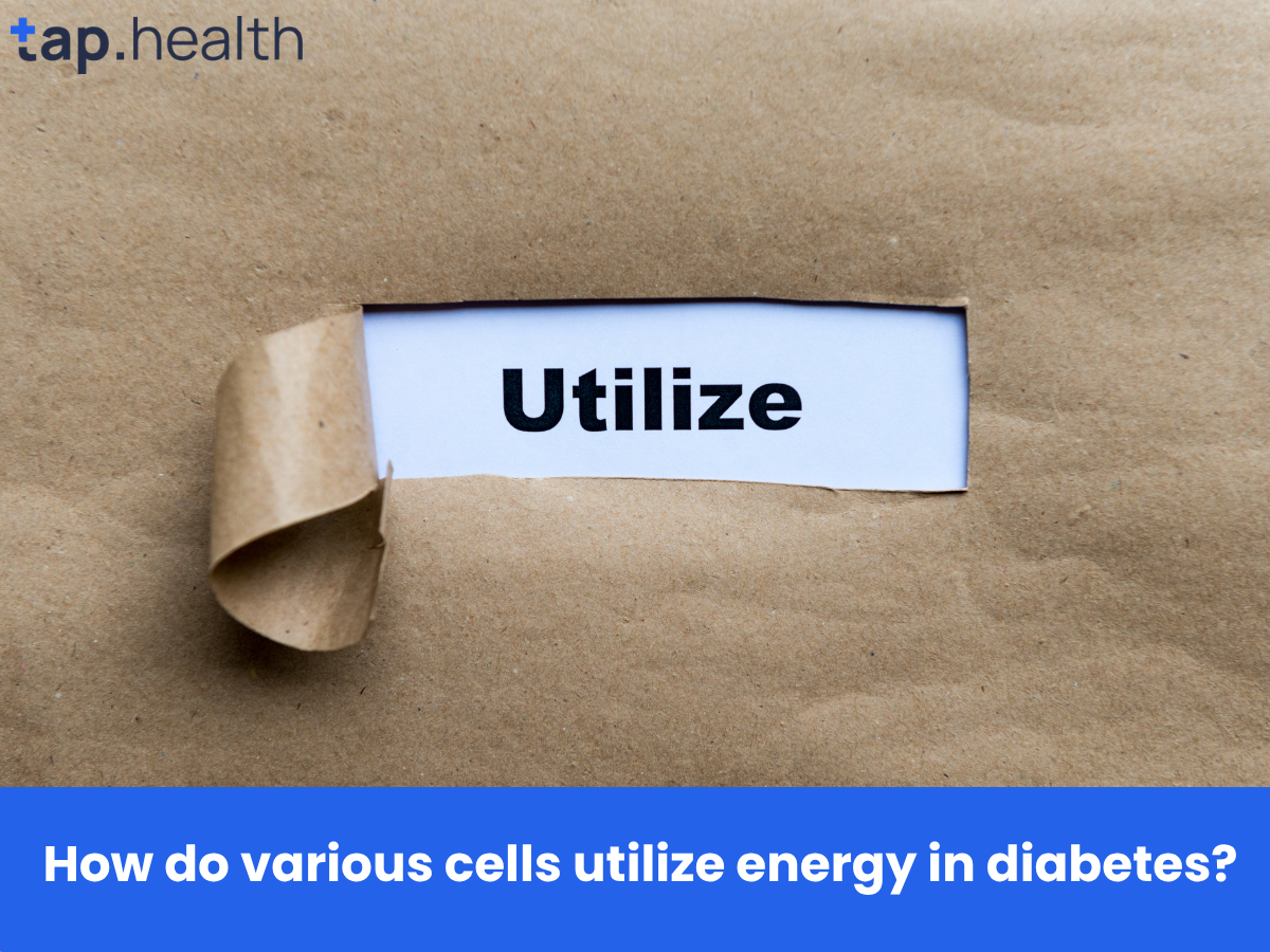 How do various cells utilize energy in diabetes
