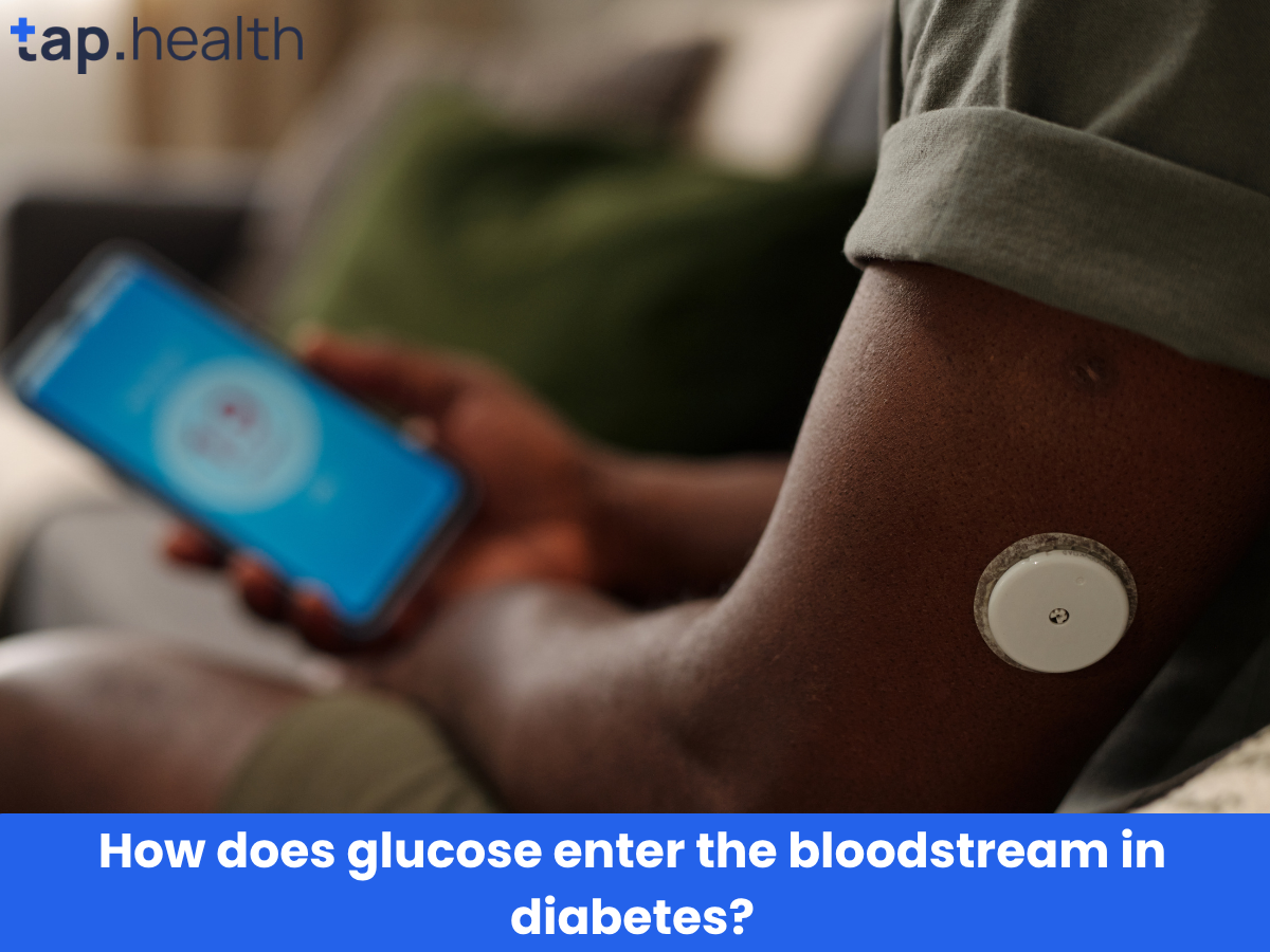 How does glucose enter the bloodstream in diabetes